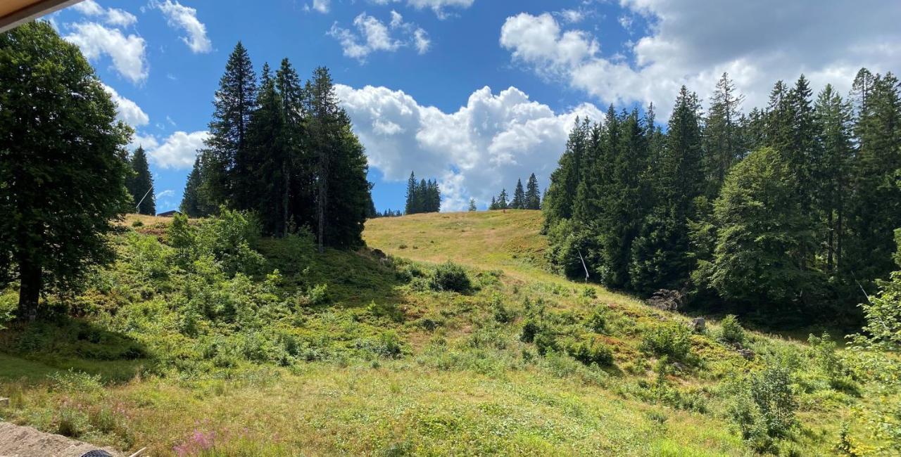 Ferienwohnung Feldberg Schwarzwald Exterior foto