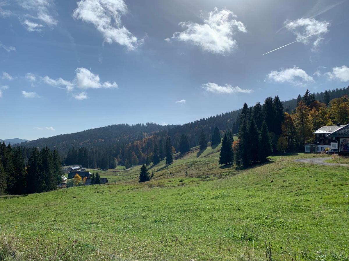 Ferienwohnung Feldberg Schwarzwald Exterior foto