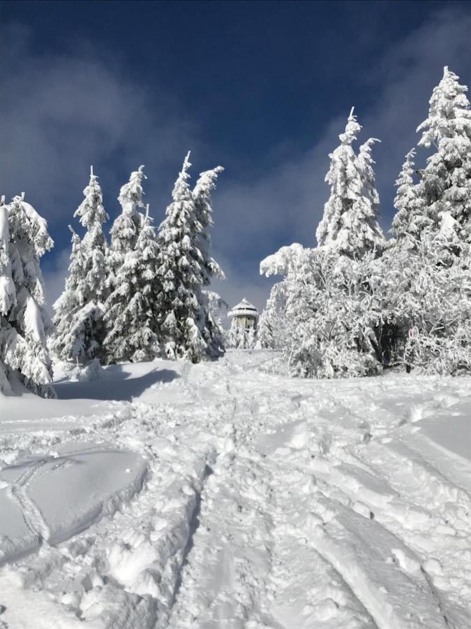 Ferienwohnung Feldberg Schwarzwald Exterior foto