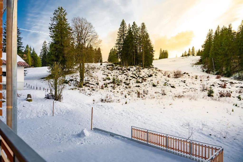 Ferienwohnung Feldberg Schwarzwald Exterior foto